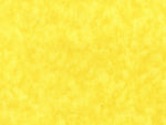 108" Wide 100% Cotton Blender Vibrant Yellow  Quilt Backing by Santee Fabrics